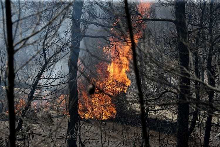 Καίγονται οι Πηγές του Φονιά στη Σαμοθράκη. Η φωτιά καίει σε μεγάλο υψόμετρο