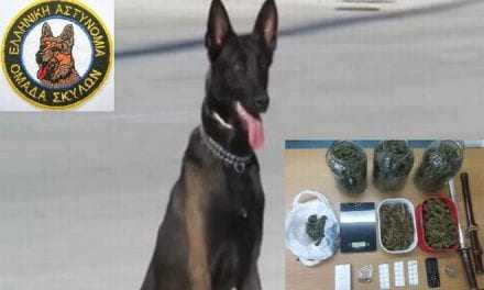 ΑΛΕΞΑΝΔΡΟΥΠΟΛΗ: Η μύτη του αστυνομικού σκύλου “μίλησε”