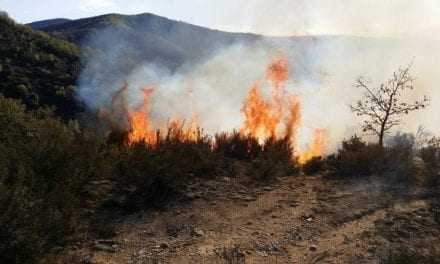 ΔΡΑΜΑ: Συνελήφθη 46χρονος για εμπρησμό