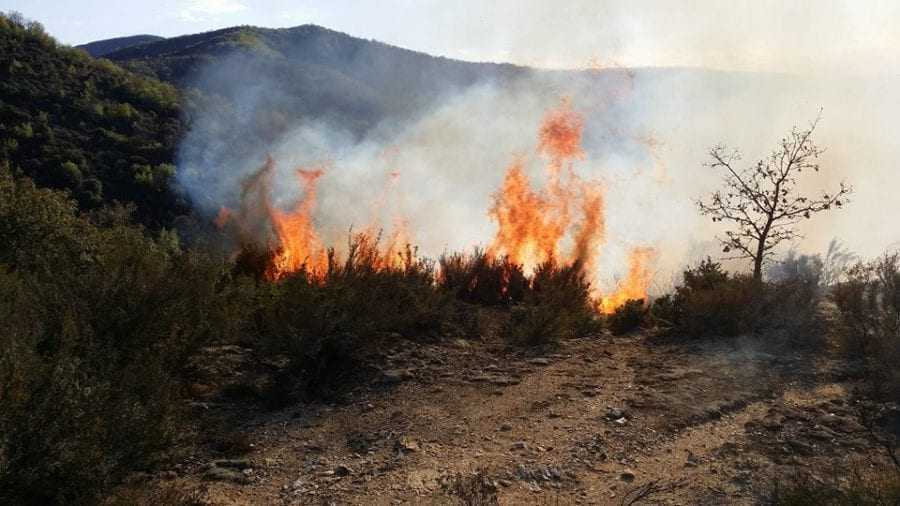 ΔΡΑΜΑ: Συνελήφθη 46χρονος για εμπρησμό