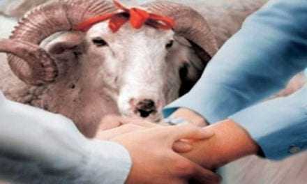 Παράνομη η ελεύθερη σφαγή ζώων για την θρησκευτική γιορτή (ΚΟΥΡΜΠΑΝ ΜΠΑΪΡΑΜ)