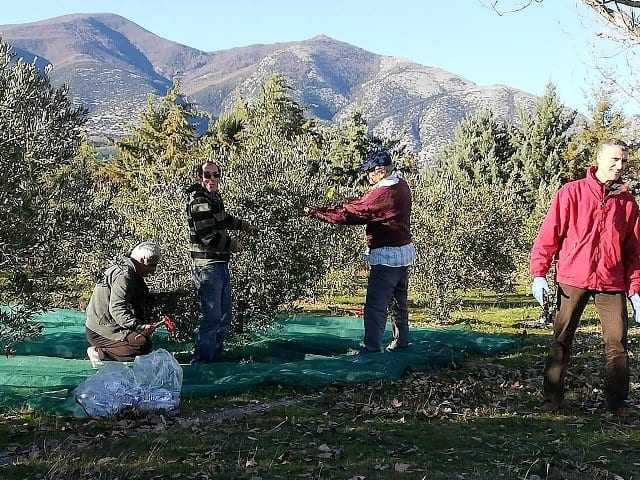 Εθελοντές και ελαιοτριβείο Τυμπάνου στο πλευρό των γερόντων