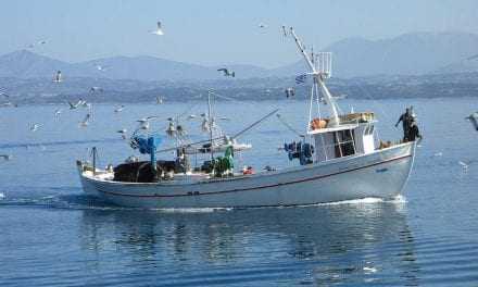 Ανανέωση επαγγελματικών αδειών αλιείας σκαφών.