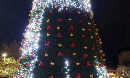 Τι σας φταίει το Χριστουγεννιάτικο δένδρο; Ανεγκέφαλοι βανδάλισαν το Χριστουγεννιάτικο δένδρο στην πλατεία.