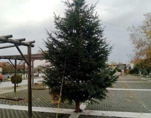 Ανάβει το Χριστουγεννιάτικο δένδρο στα Μάγγανα
