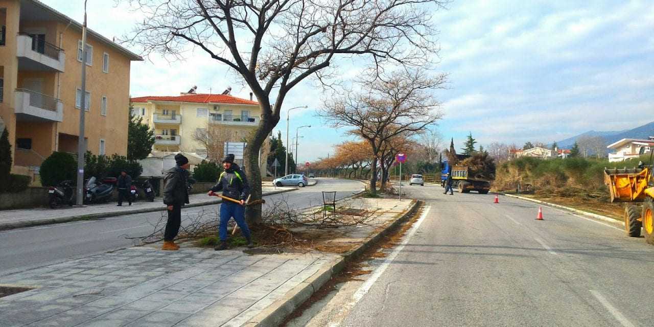 Επιστρατεύτηκε η Πολιτική Προστασία για να μαζέψει τους Ξανθιώτες από τον απογευματινό τους περίπατο;