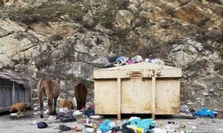 Ερώτηση Βελόπουλου για τις Ανεξέλεγκτες χωματερές του δήμου Μύκης