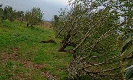 Η κακοκαιρία “λάβωσε” και το βιολογικό κτήμα Γαβριήλ