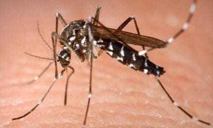 Συζήτηση στο Π.Σ. για την ανόρθωση της οικονομίας και την καταπολέμηση κουνουπιών ζητά η αντιπολίτευση