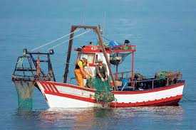 Με ερώτηση τους οι βουλευτές του ΚΙΝΑΛ ζητούν μέτρα στήριξης για τους ψαράδες