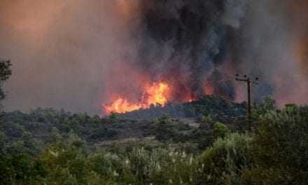 Φωτιά έκαψε 20 στρέμματα από καλαμιές στον Δήμο Τόπειρο