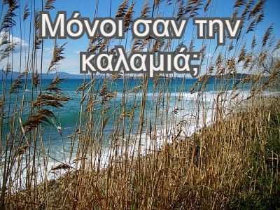 Οκ μείναμε ασφαλείς αλλά … μόνοι. Τώρα; Τι γίνεται τώρα;