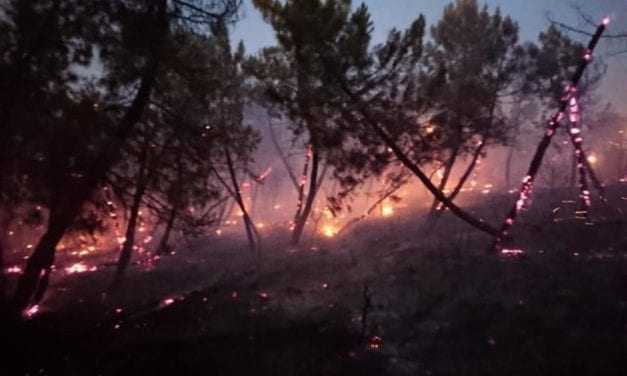 Υπό έλεγχο η φωτιά στις Σάπες  της Ροδόπης