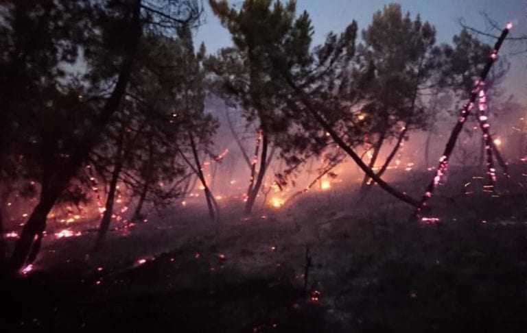 Υπό έλεγχο η φωτιά στις Σάπες  της Ροδόπης