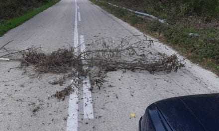 Σπέρνουν τον τρόμο οι λαθρομετανάστες στους κατοίκους του ορεινού Έβρου πόσο θέλει να φτάσουν και στην Ξάνθη;