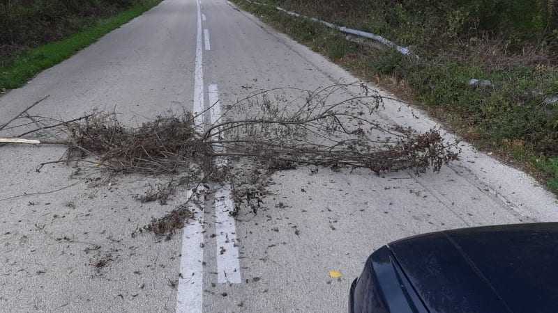 Σπέρνουν τον τρόμο οι λαθρομετανάστες στους κατοίκους του ορεινού Έβρου πόσο θέλει να φτάσουν και στην Ξάνθη;