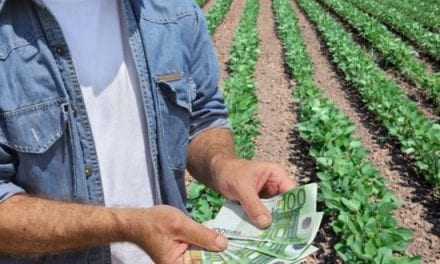 Στήριξη στους παραγωγούς ελιάς Καλαμών, πρώιμου Καρπουζιού και ανοιξιάτικης Πατάτας που επλήγησαν από της επιπτώσεις της πανδημίας του κορωνοϊού  – Ενεργοποιήθηκε η πλατφόρμα υποβολής αιτημάτων πληρωμής