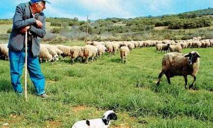 Χ. Κεφαλίδου: Κύριε Υπουργέ καταστρέφονται οι κτηνοτρόφοι της ΑΜΘ