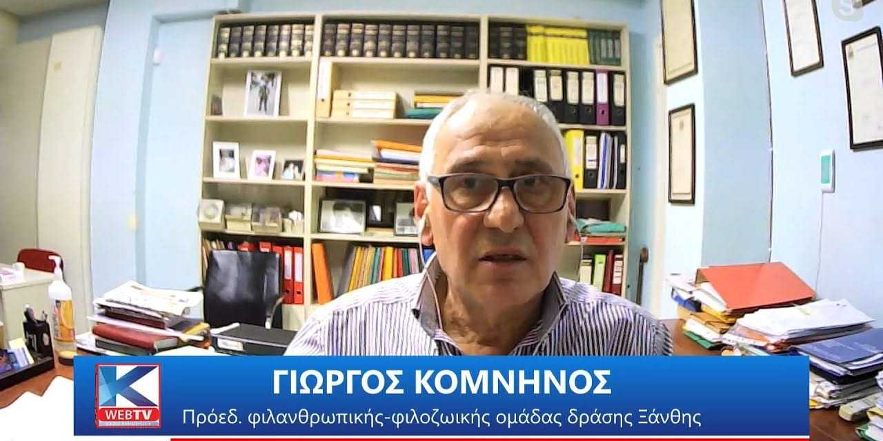 Φάκελος «Αδέσποτα» – Τι ισχύει σήμερα, ποιες αλλαγές έρχονται, και η οριστική λύση στο πρόβλημα