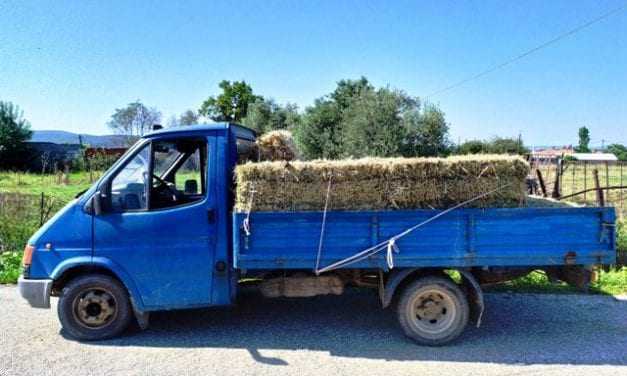 Συνελήφθησαν 7 διακινητές οι οποίοι προωθούσαν στο εσωτερικό της χώρας, σε τρεις διαφορετικές περιπτώσεις, μη νόμιμους μετανάστες