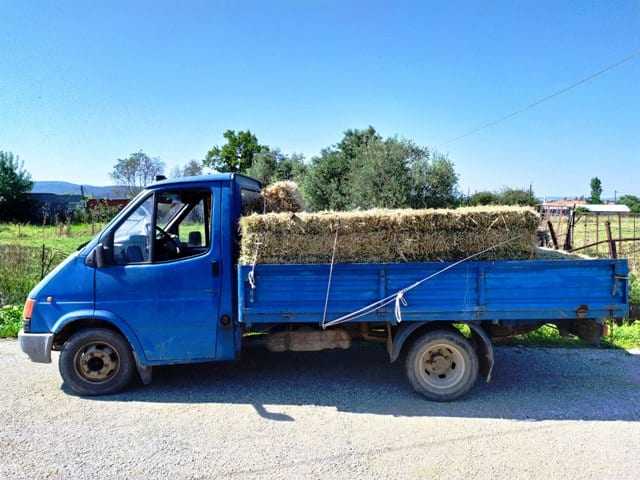 Συνελήφθησαν 7 διακινητές οι οποίοι προωθούσαν στο εσωτερικό της χώρας, σε τρεις διαφορετικές περιπτώσεις, μη νόμιμους μετανάστες