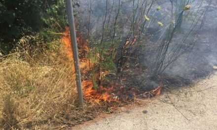 Πρόστιμο από την Πυροσβεστική στον οικισμό του Πόρτο Λάγους για καύση ξηρών χόρτων