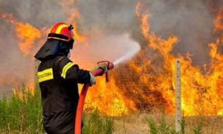 ΞΑΝΘΗ: Πρόστιμο σε παρέα που έβαλε μαγκάλι κοντά σε δασική έκταση