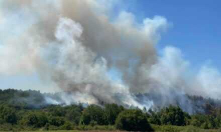 Ροδόπη: Υπό έλεγχο η πυρκαγιά στο δάσος της Νυμφαίας Ενισχύονται οι επίγειες και εναέριες δυνάμεις πυρόσβεσης στην περιοχή