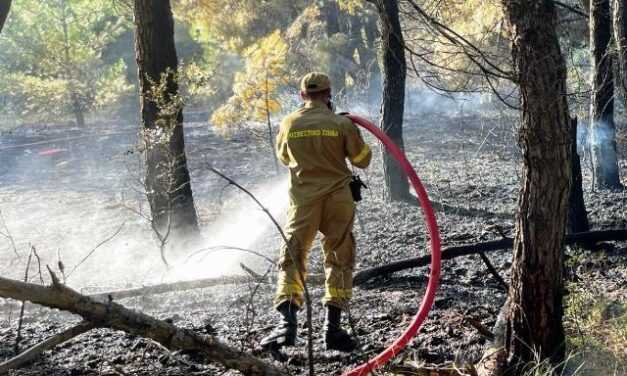 Κατάσβεση πυρκαγιάς στη Χρύσα Ξάνθης