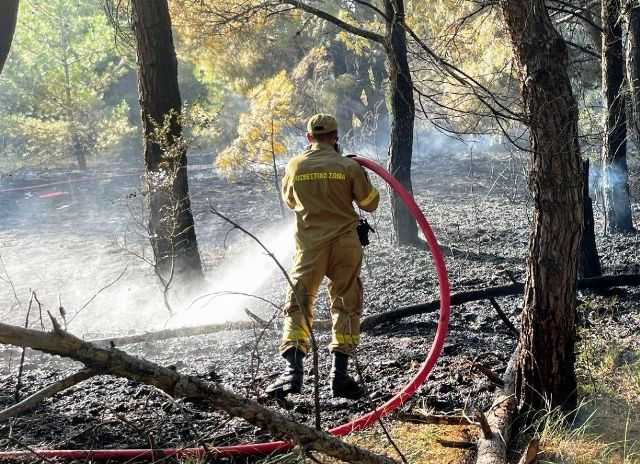 Κατάσβεση πυρκαγιάς στη Χρύσα Ξάνθης