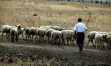 Κτηνοτρόφοι ΑΜ-Θ | Αιτούμαστε Έκτακτο Περιφερειακό Συμβούλιο