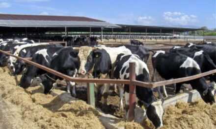 Ο Λιβανός “γράφει” τους κτηνοτρόφους – Σκληρό “κατηγορώ” των κτηνοτρόφων προς τον ΥΠΑΑΤ