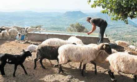 Βουλευτές ΚΙΝΑΛ – ΠΑΣΟΚ :  «Εκτός της έκτακτης ενίσχυσης με το 2% του τζίρου πολλοί κτηνοτρόφοι της χώρας»