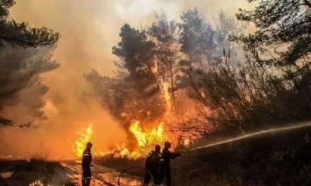 Σύσταση στους Ξανθιώτες από την Π.Υ. για την έναρξη αντιπυρικής περιόδου