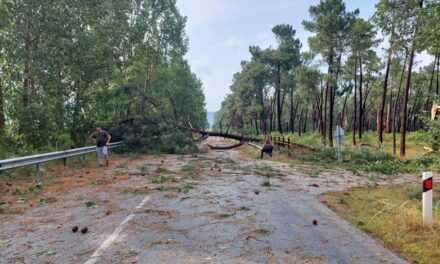 «Ανεμοστρόβιλοι στην ΠΕ Ξάνθης. Καταγραφή και αποζημίωση των αγροτών που επλήγησαν».