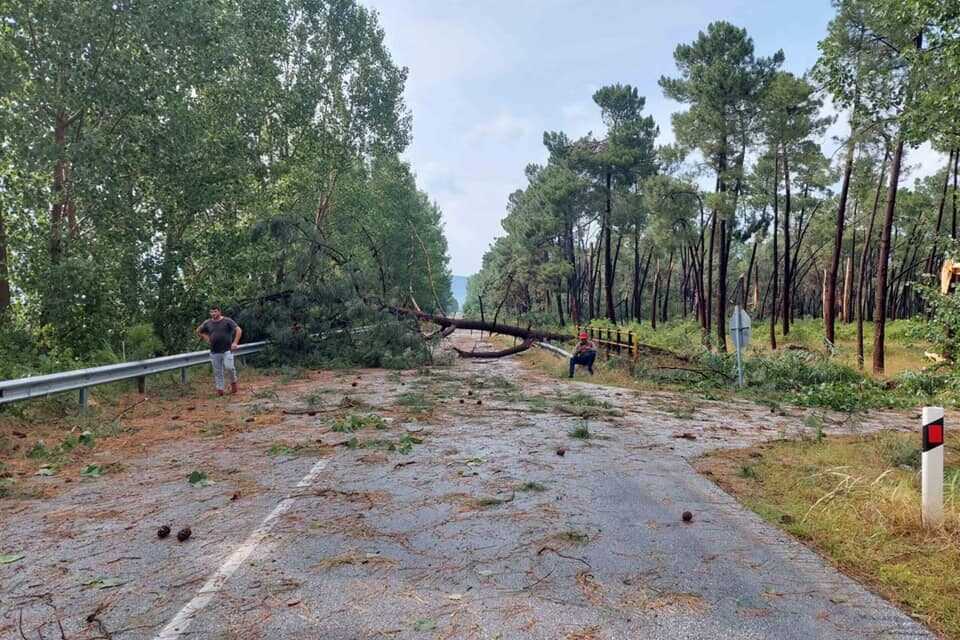 «Ανεμοστρόβιλοι στην ΠΕ Ξάνθης. Καταγραφή και αποζημίωση των αγροτών που επλήγησαν».