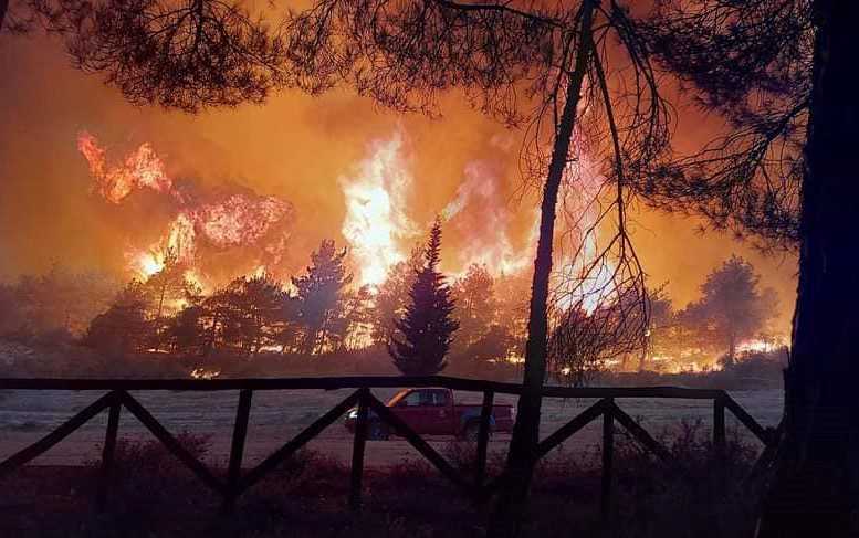 ΕΘΝΙΚΟ ΠΑΡΚΟ ΔΑΣΟΥΣ ΔΑΔΙΑΣ  ΤΟ ΧΡΟΝΙΚΟ ΕΝΟΣ ΠΡΟΑΝΑΓΓΕΛΘΕΝΤΟΣ ΘΑΝΑΤΟΥ