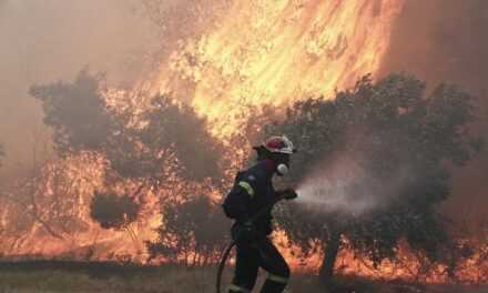 Κάλεσμα Τοψίδη για ανοιχτή συζήτηση με θέμα την προστασία των δασών της Περιφέρειας  -Όσα είδαμε και όσα δεν είδαμε στην πυρκαγιά του δάσους της Δαδιάς