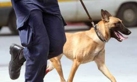 ΞΑΝΘΗ: Ο αστυνομικός σκύλος βρήκε το «μυστικό»