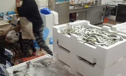 Ο Αλιευτικός Συνεταιρισμός Βιστωνίδας στο πλευρό της κοινωνίας της Ξάνθης