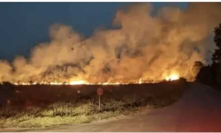 Ροδόπη: Τρεις νέες φωτιές σε εξέλιξη