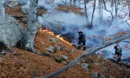 Η Περιφερειακή Σύνθεση ζητά έκτακτη συνεδρίαση του Περιφερειακού Συμβουλίου ΑΜΘ με θέμα την πυρκαγιά στο Παπίκιο