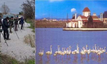 Δεν θέλει κόπο, θέλει τρόπο