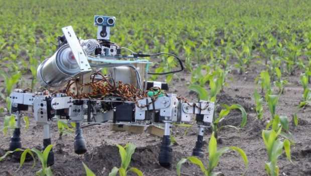Το αγροτόπαιδο από το Παγγαίο, επιστήμονας πλέον, γέννησε την ιδέα ρομπότ – αγρότης