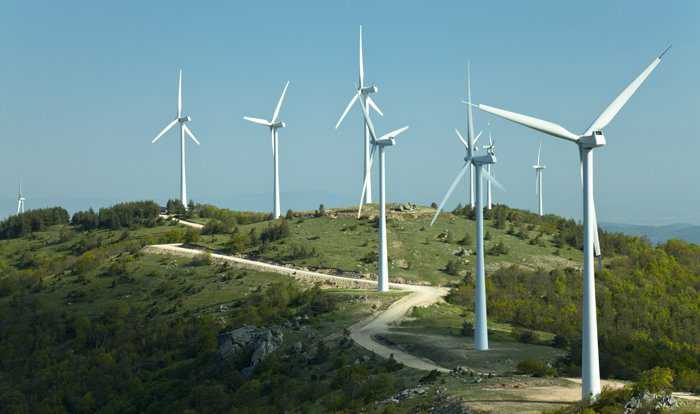 Δεν θέλει αιολικό πάρκο στην Δαδιά το ΚΚΕ γιατί τραυματίζονται τα πουλιά