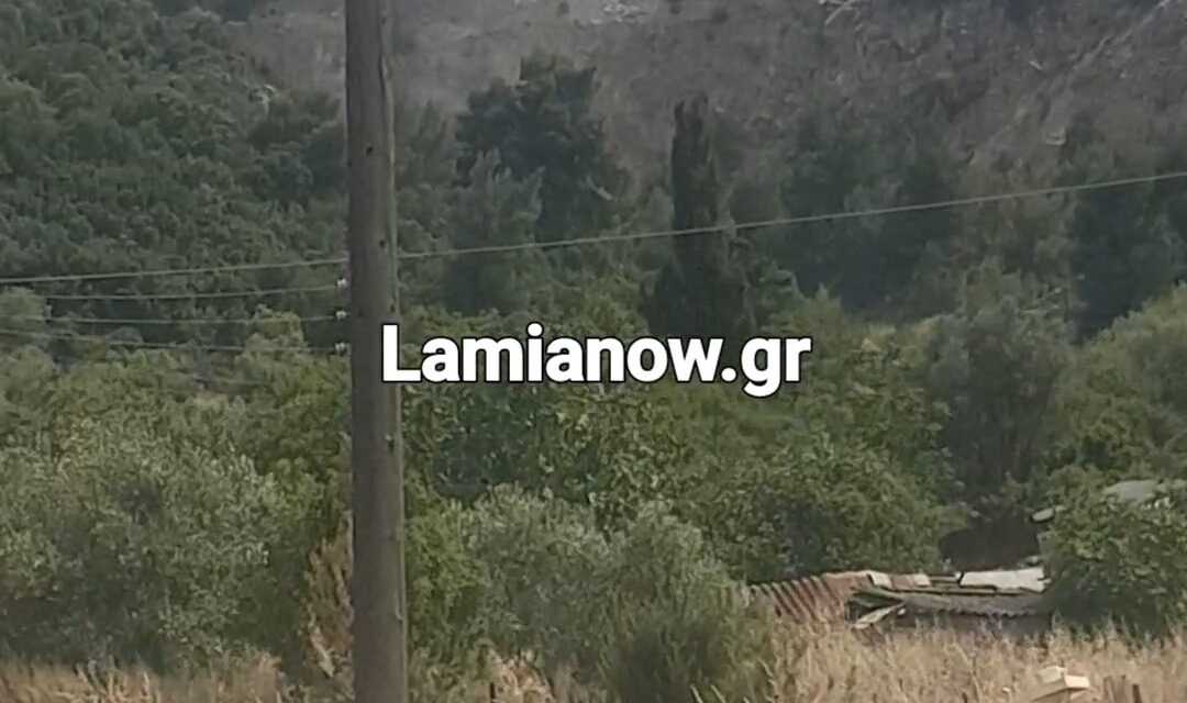 Σεισμός στην Αταλάντη… κατολίσθηση στην Τραγάνα
