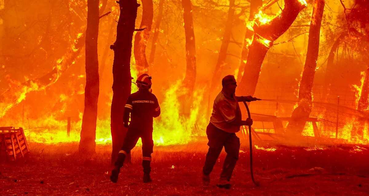 Αντί για πυρασφάλεια…Μπόγιας; Χαμάλης; Σκουπιδιάρης;  / ΑΚΟΜΗ ΕΝΑ ΔΕΙΓΜΑ ΑΔΙΑΦΟΡΙΑΣ ΤΟΥ ΤΣΕΠΕΛΗ ΓΙΑ  ΤΗΝ ΑΣΦΑΛΕΙΑ ΤΩΝ ΔΗΜΟΤΩΝ ΤΗΣ ΞΑΝΘΗΣ