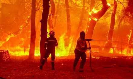 Υψηλός κίνδυνος για φωτιά στην ΑΜΘ. Έβρος και Θάσος στο “κόκκινο” – Από κοντά και η Ξάνθη
