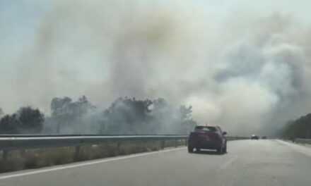 Θεσσαλονίκη: Εκλεισε η Εγνατία Οδός λόγω της μεγάλης φωτιάς στον Προφήτη (ΒΙΝΤΕΟ)