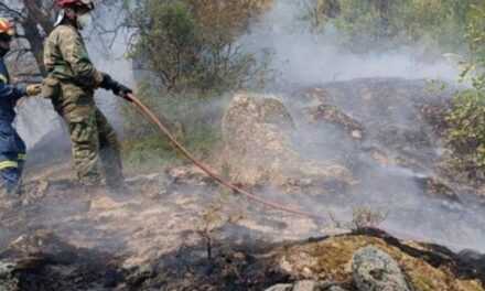 ΠΙΚΡΕΣ ΑΛΗΘΕΙΕΣ ΑΠΟ ΤΟΥΣ ΣΤΡΑΤΙΩΤΙΚΟΥΣ ΤΗΣ ΞΑΝΘΗΣ ΓΙΑ ΤΟ ΑΔΙΑΦΟΡΟ ΠΟΛΙΤΙΚΟ ΣΥΣΤΗΜΑ